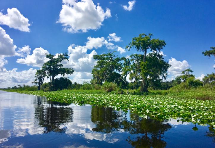 Blue Spring State Park
