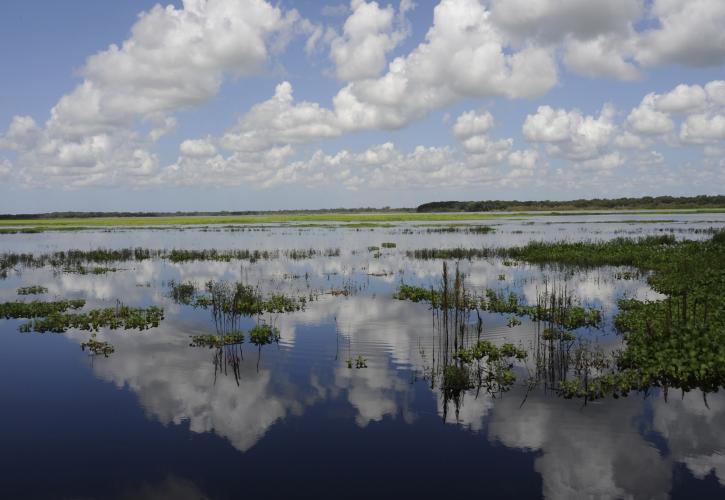 Myakka River State Park