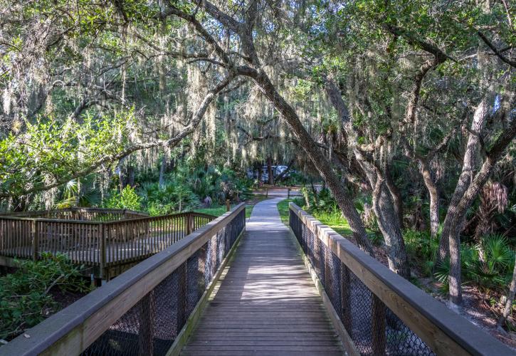 Boardwalk at Oscar Scherer State Park