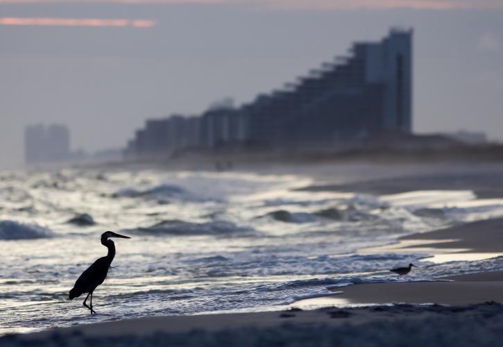 Perdido Key State Park