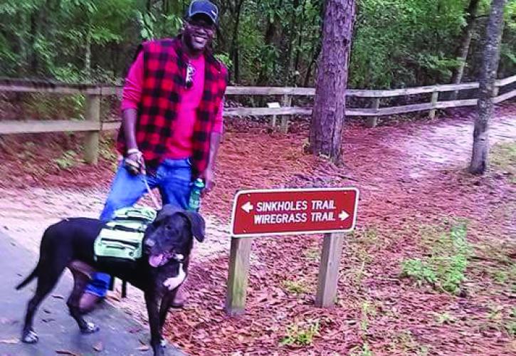 Pets in Parks