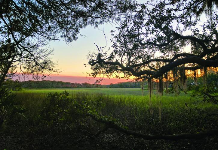 Overlooking Scenic view at Little Talbot Island