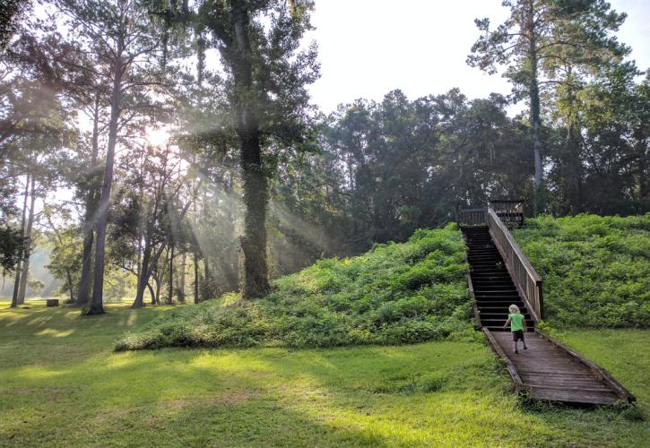 A child walks up the boardwalk onto a mound at Lake Jackson Mounds.