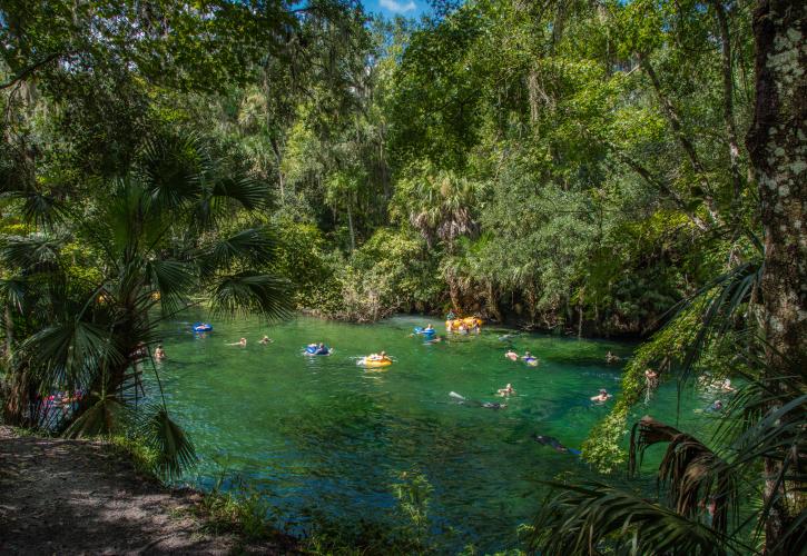 Swimming at Blue Spring