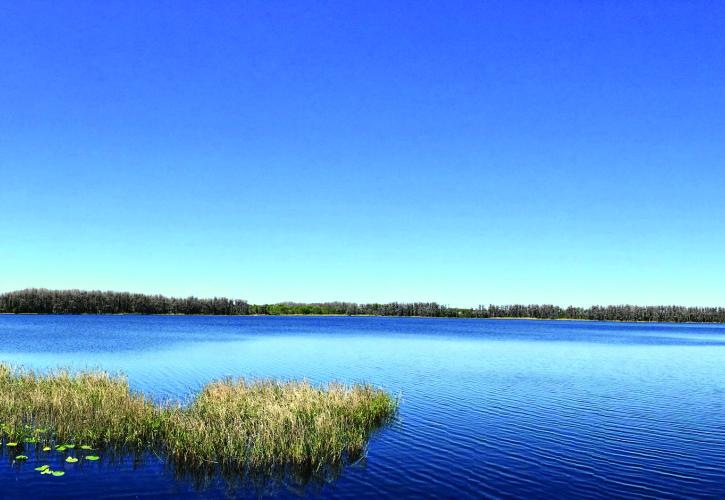 Lake Louisa State Park