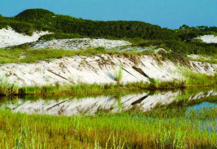 Sand Dunes with Sea Oats