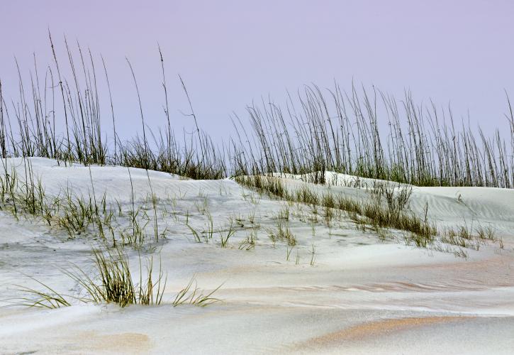 Dunes