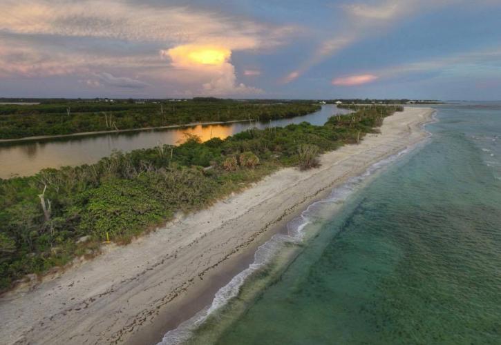 A view of the Shoreline.