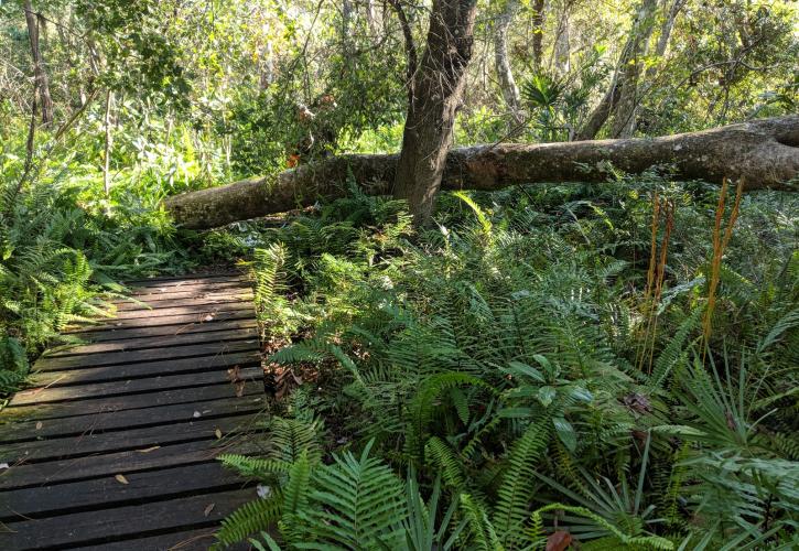 Little Manatee River State Park Map Little Manatee River State Park | Florida State Parks