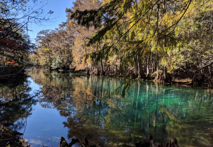 Manatee Springs State Park