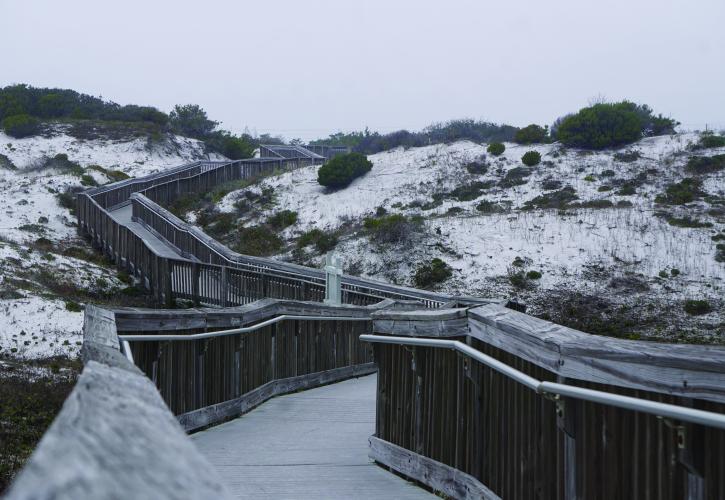 Boardwalk over dunes