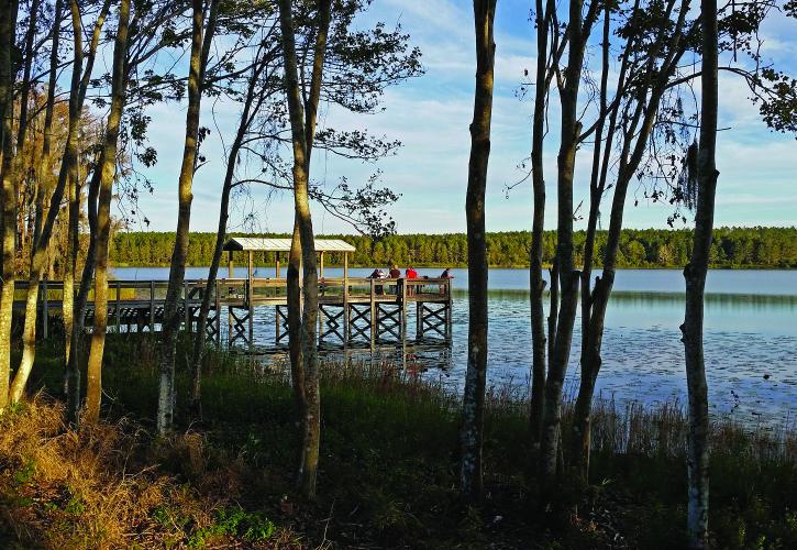 Fishing dock at Lake Louisa State Park