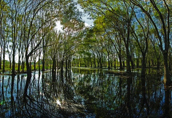 Hillsborough River