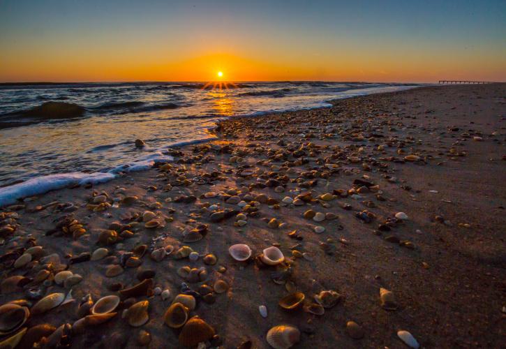 Credit: Candis B /Yelp www.floridastateparks.org