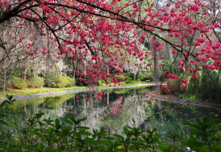 pond overlook in fall