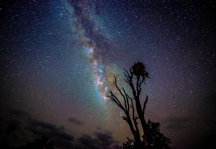 Kissimmee Prairie Preserve State Park