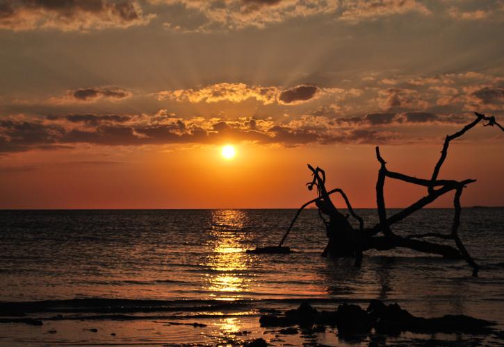 Fakahatchee Strand Preserve State Park