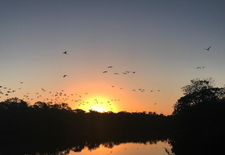 A view of the sunset over the water.