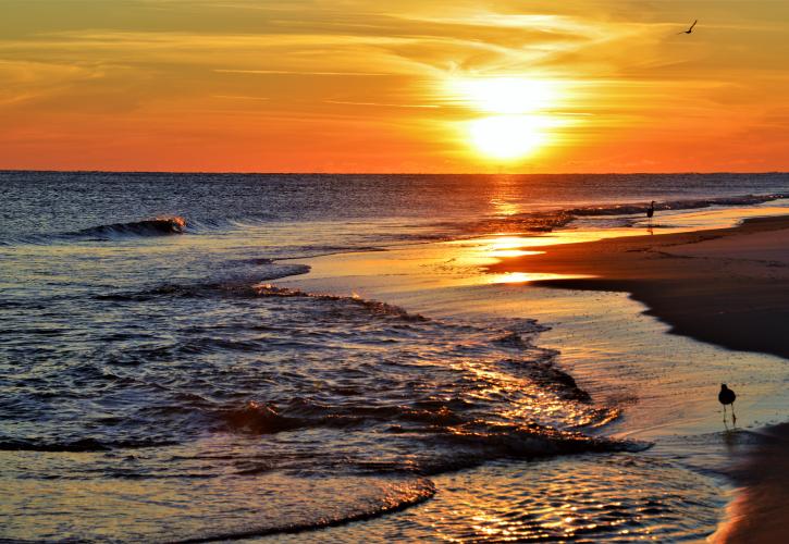 Perdido Key State Park