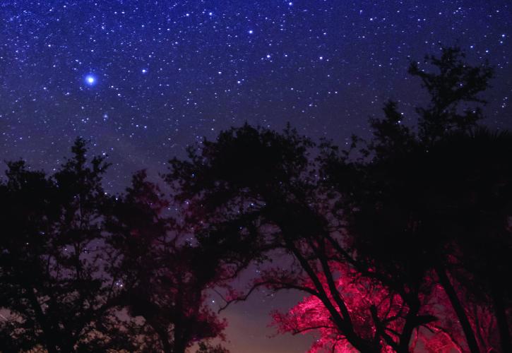 Camping under the night sky