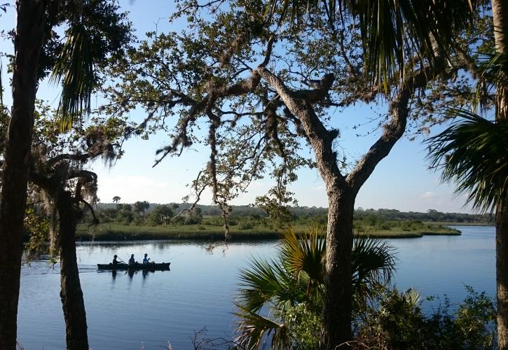 Kayakers paddling on Bulow Creek 