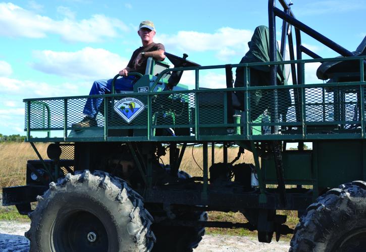 Buggy Tours