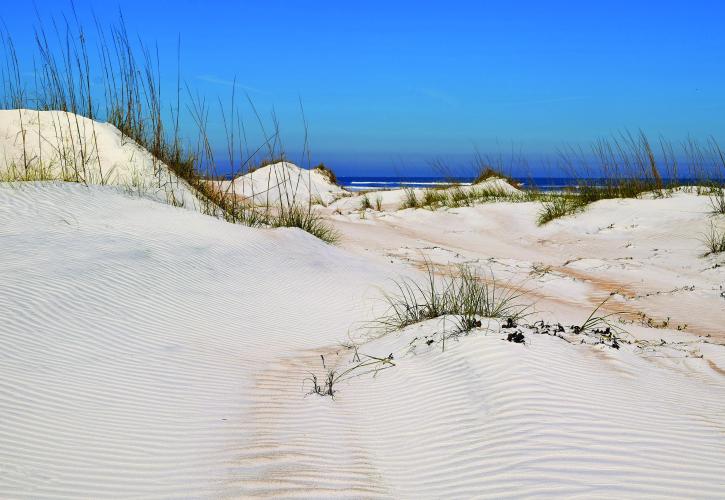 Sand Dunes