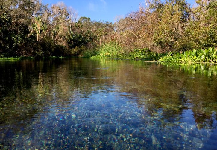 Rock Springs Run