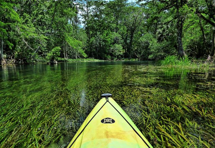 silver springs state park florida state parks