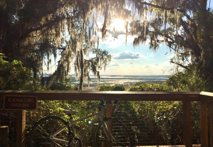 Alachua Lake Overlook