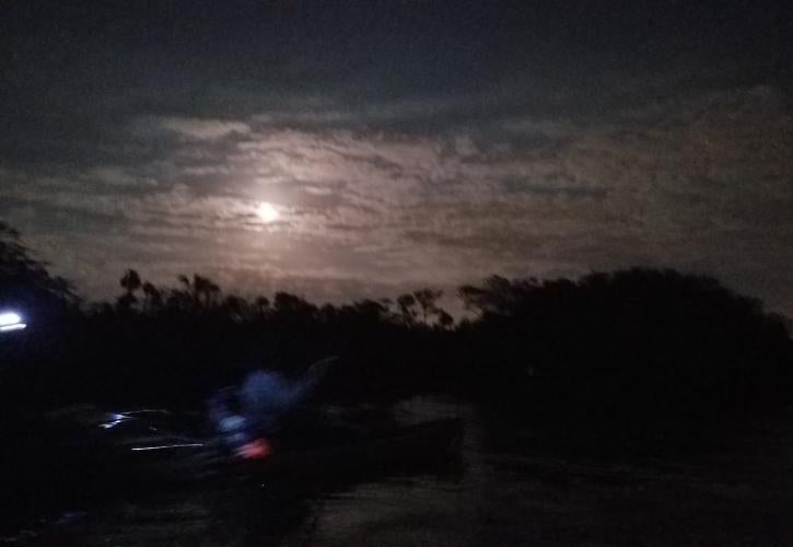 A view of the night sky over Werner-Boyce.