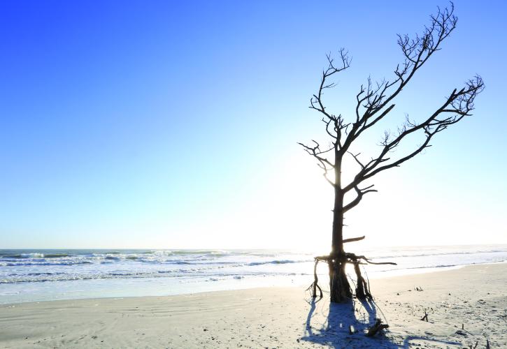 Beach view