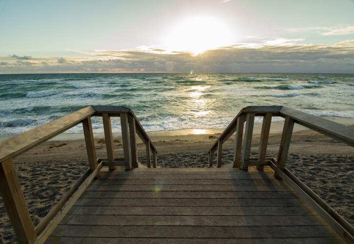 Boardwalk View