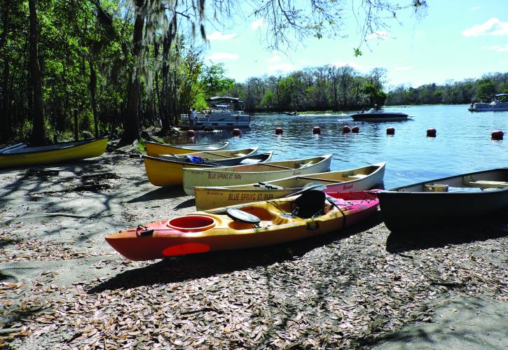 View of Kayaks and Canoes on banks of river