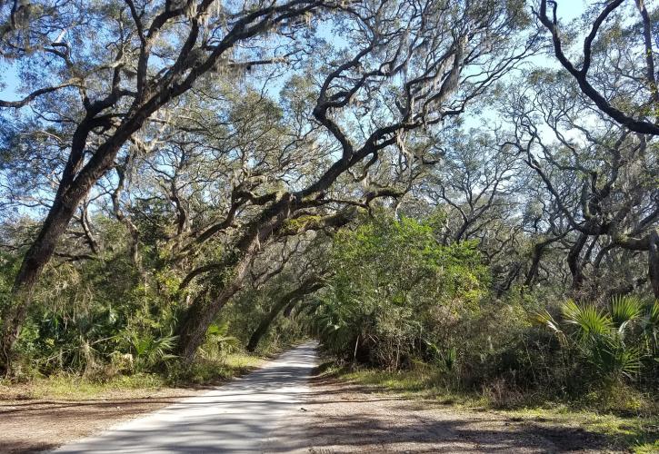 Trees shade the trail at Fort George Island Cultural State Park.