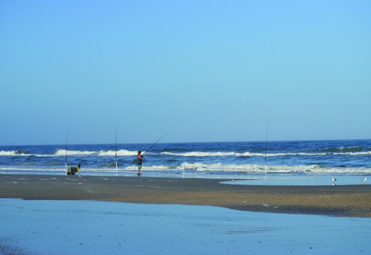 Anglers fishing on the beach