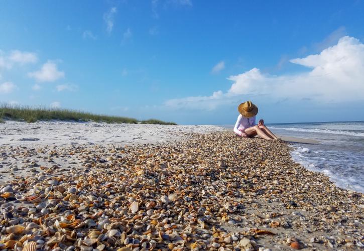 Visitor looking at Shells