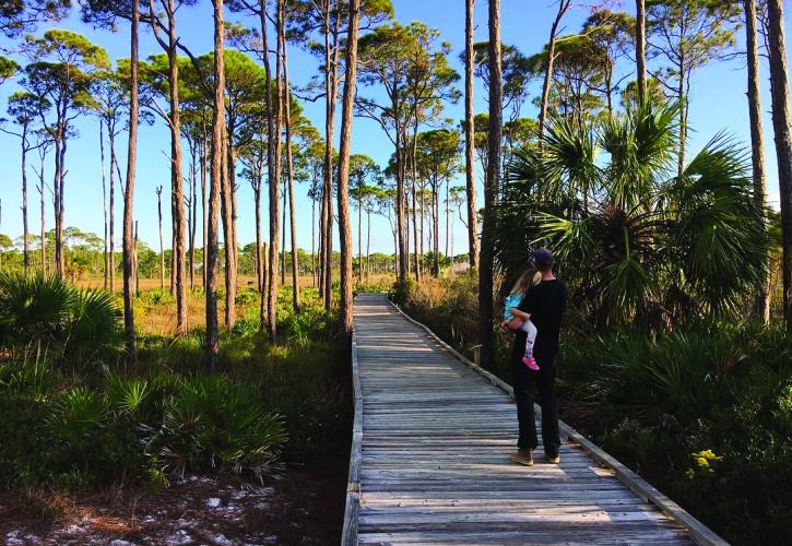 Walking down the boardwalk