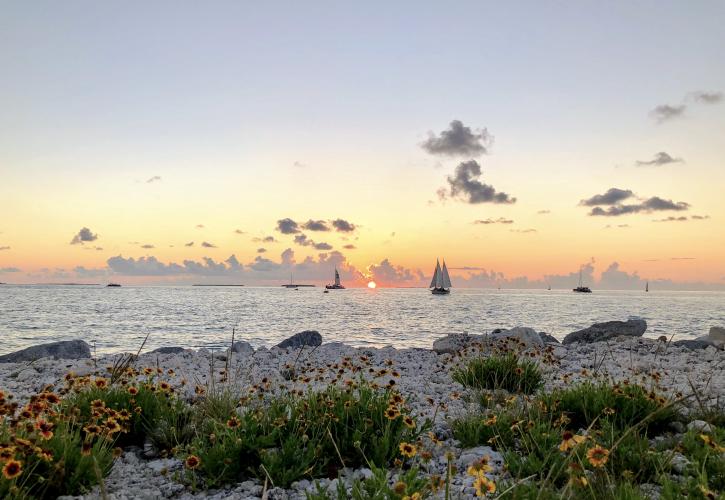 Sailboat view from Beach