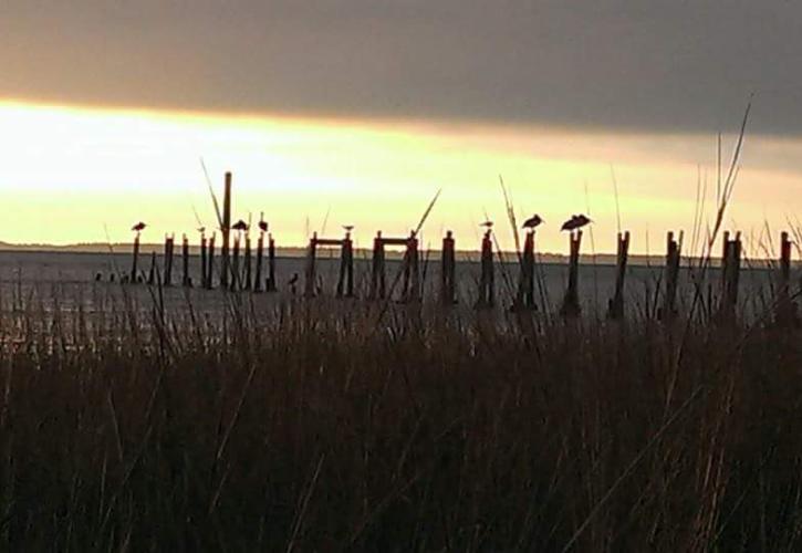 The shoreline at San Marcos de Apalache.