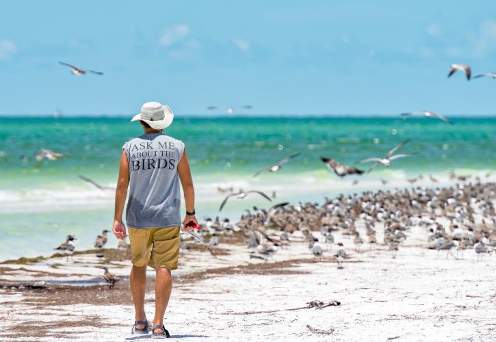 Birder walking on the beach