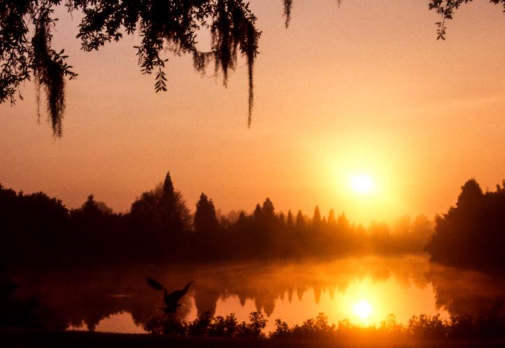 The sunset over Lake Alafia.