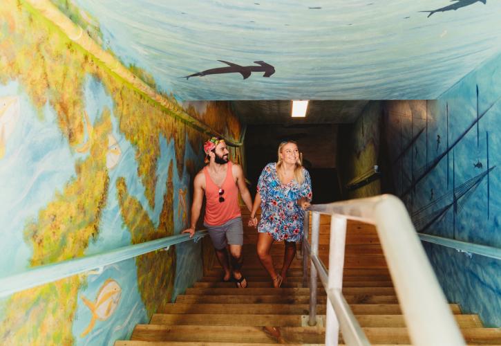 Walking through the Tunnel