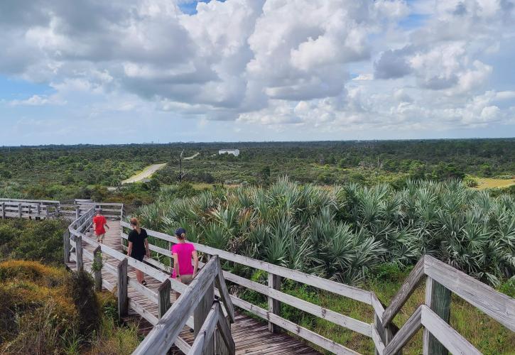 A group of people walk the boardwalk to the tower at Jonathan Dickinson State Park.