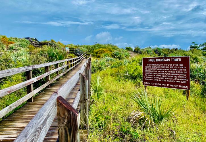 This boardwalk leads over the ancient dune to the tower on top of Hobe Mountain.