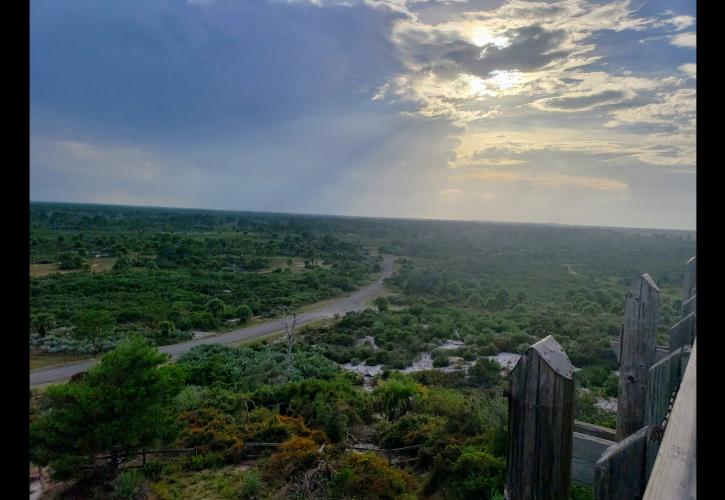 A view from the tower on Hobe Mountain.