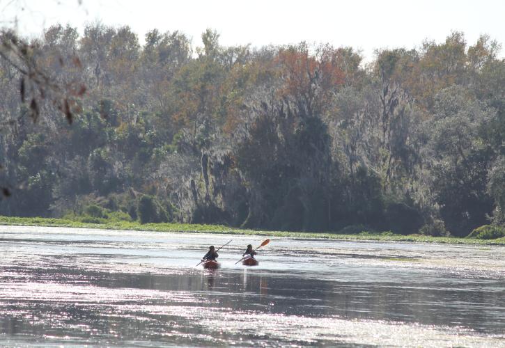 Lower Wekiva River Preserve State Park Florida State Parks