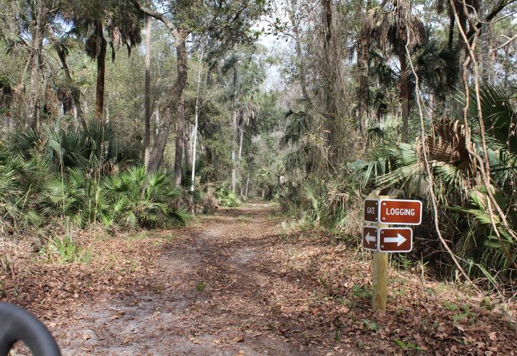 Lower Wekiva River Preserve State Park Florida State Parks