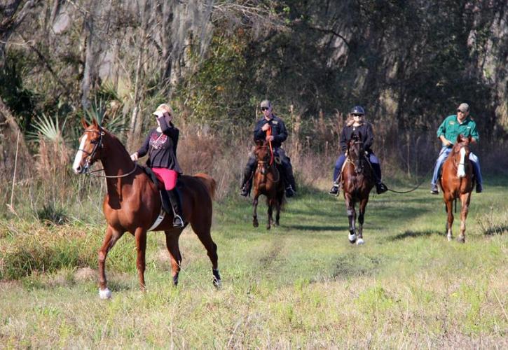 Four horseback riders at Colt Creek