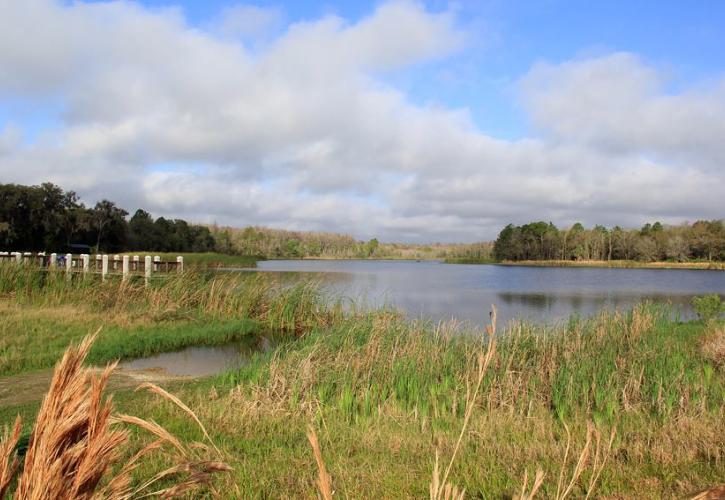 Mac Lake at Colt Creek